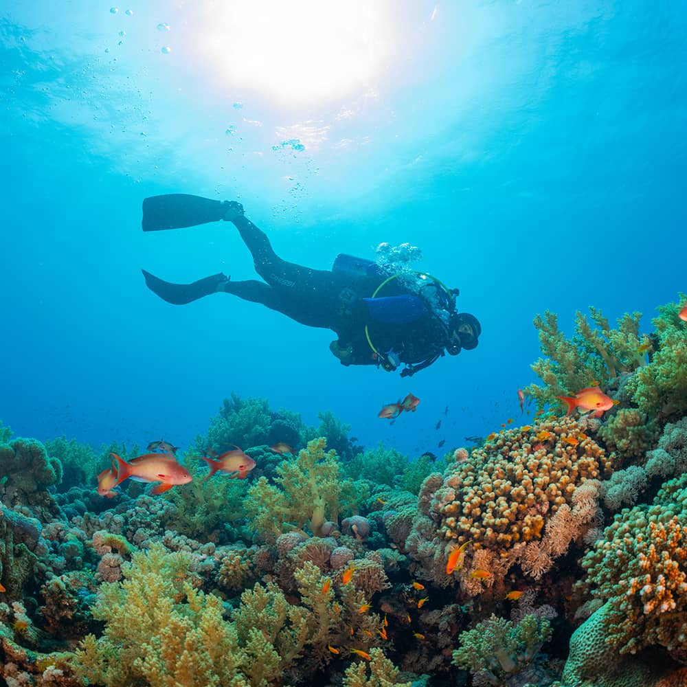 Scuba diver
